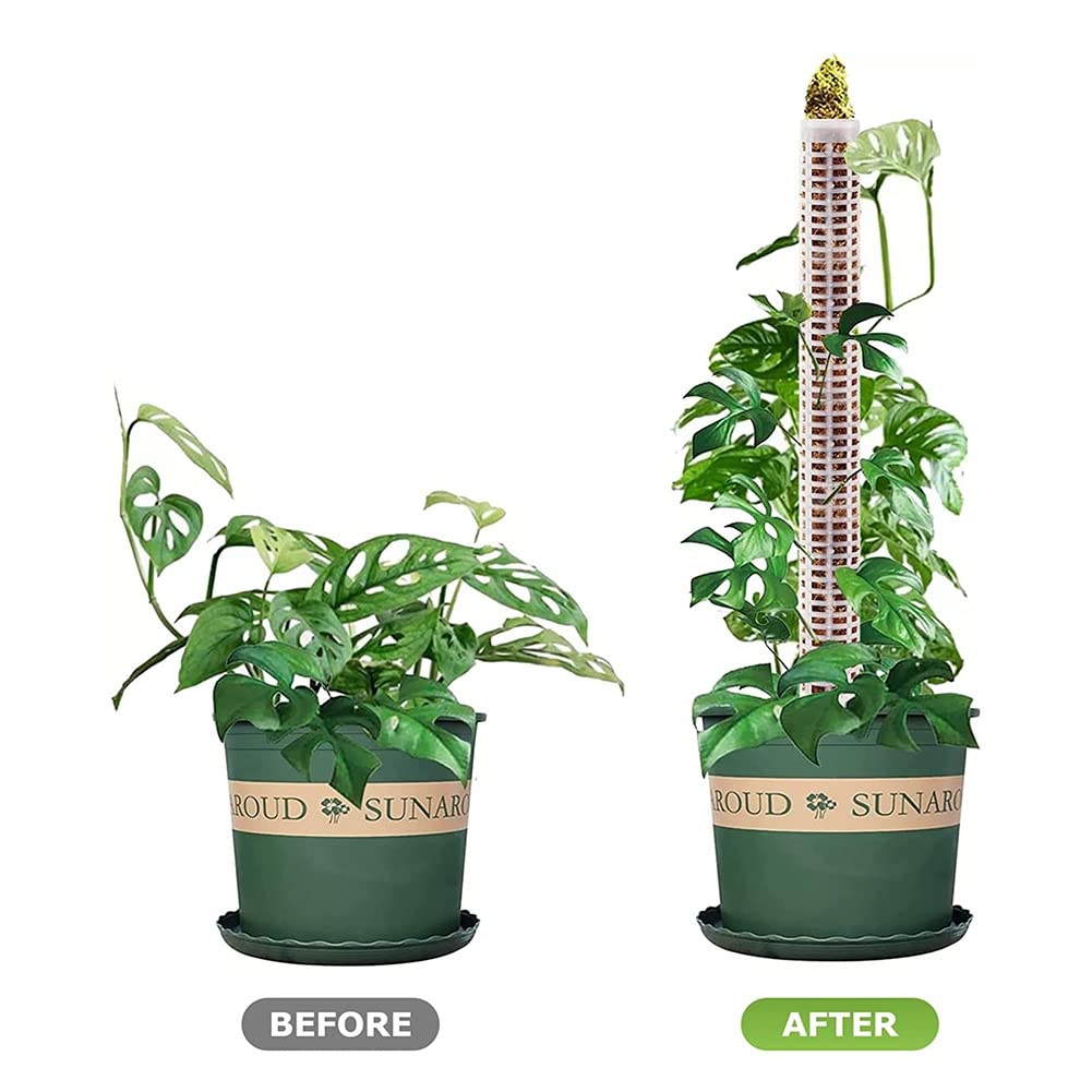 KeuLen Support for fraisiers, 6 poteaux en Plastique for Mousse, 38 cm, en Maille Transparente for Plantes Monstera en Pot