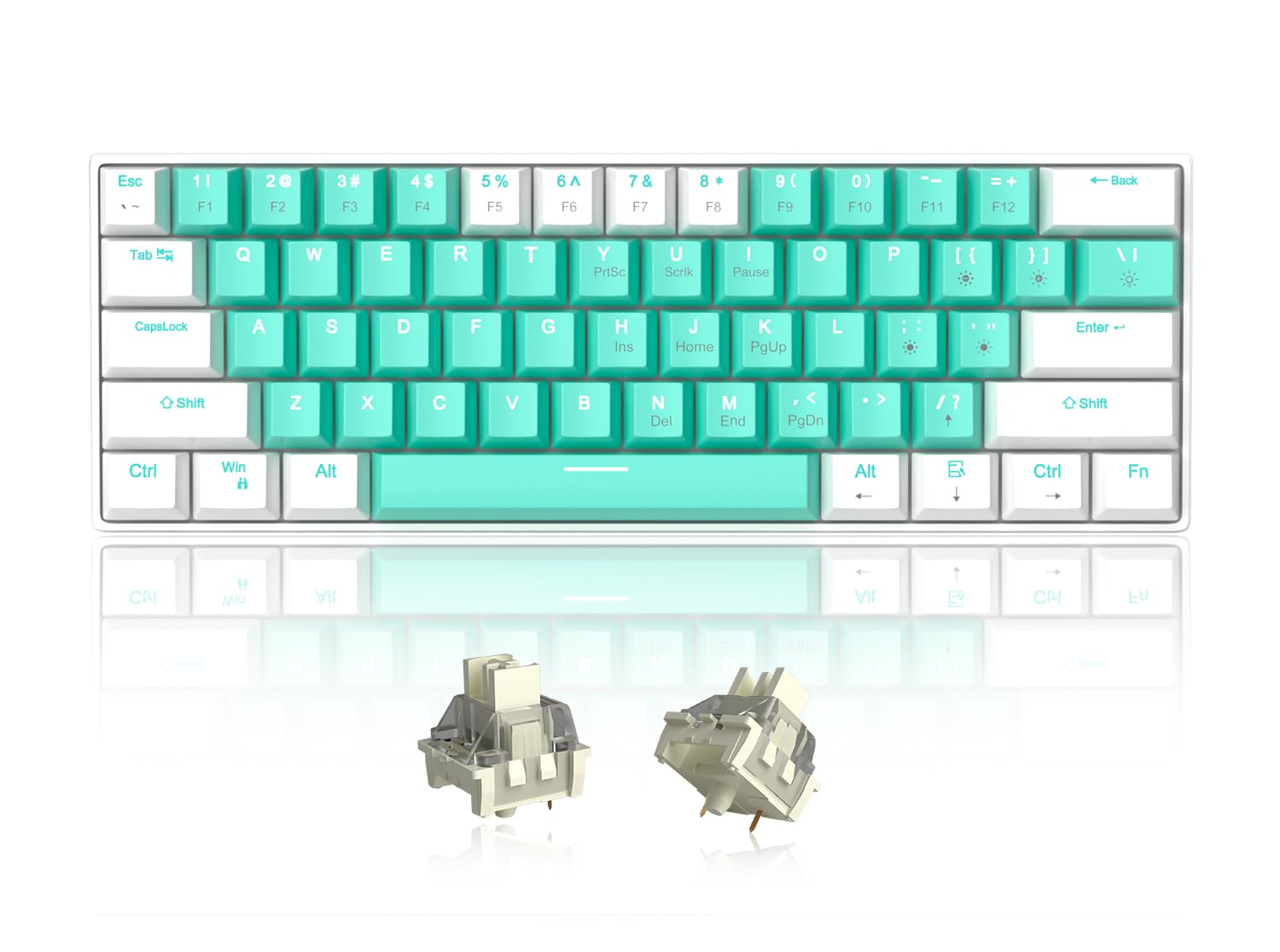 MageGee 60% Mechanical Gaming Keyboard, RGB LED Backlit 61 Keys Mini Wired Keyboard with Silencer Foam, Linear Blue Whale Switches for Win Mac PC Gamer(White Green)