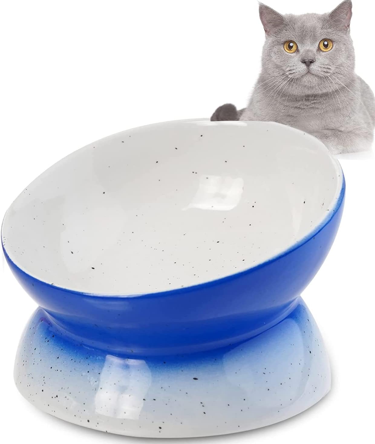 RAMAHP Cat Bowl Anti Vomiting, Raised Cat Food Bowls, Tilted Elevated Cat Bowl, Ceramic Pet Food