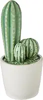 Cactus Adorno 15 * 6cm Ceramica Verd/bran Av Cacto Home & Co Único