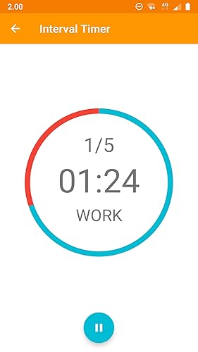 Interval Timer