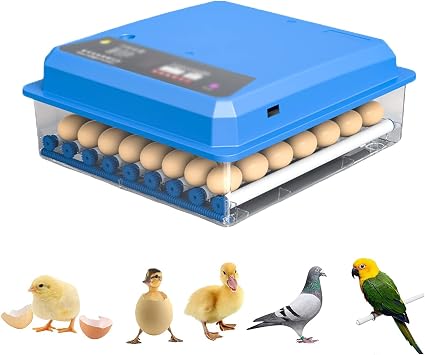 Digital Egg Incubator, Egg Incubator with Automatic Turning, 4864 Eggs Poultry Hatching Machine for Hatching Chicken Quail Parrot Duck Bird Eggs 56 Eggs