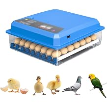 Digital Egg Incubator, Egg Incubator with Automatic Turning, 4864 Eggs Poultry Hatching Machine for Hatching Chicken Quail Parrot Duck Bird Eggs 56 Eggs