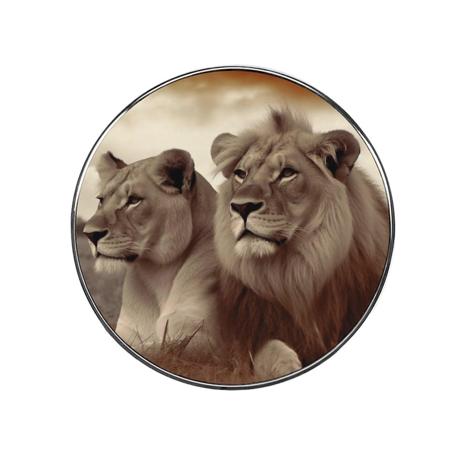 Jtkbnvm Style African Lion And Lioness Fridge Magnets Refrigerator Magnets Magnet Stickers Cute Fridge Magnets Decorative Magnets Magnetic Stickers Door Magnets Refrigerator Magnets Strong