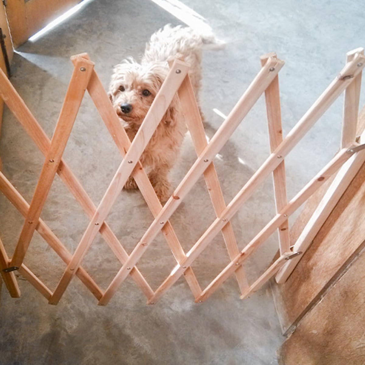TOPBATHY Puerta Retráctil para Perros Pequeña de Madera Resistente, Valla Interior para Mascotas, Barrera para Escaleras y Pasillos, Protector contra Arañazos y Mordeduras, Puerta