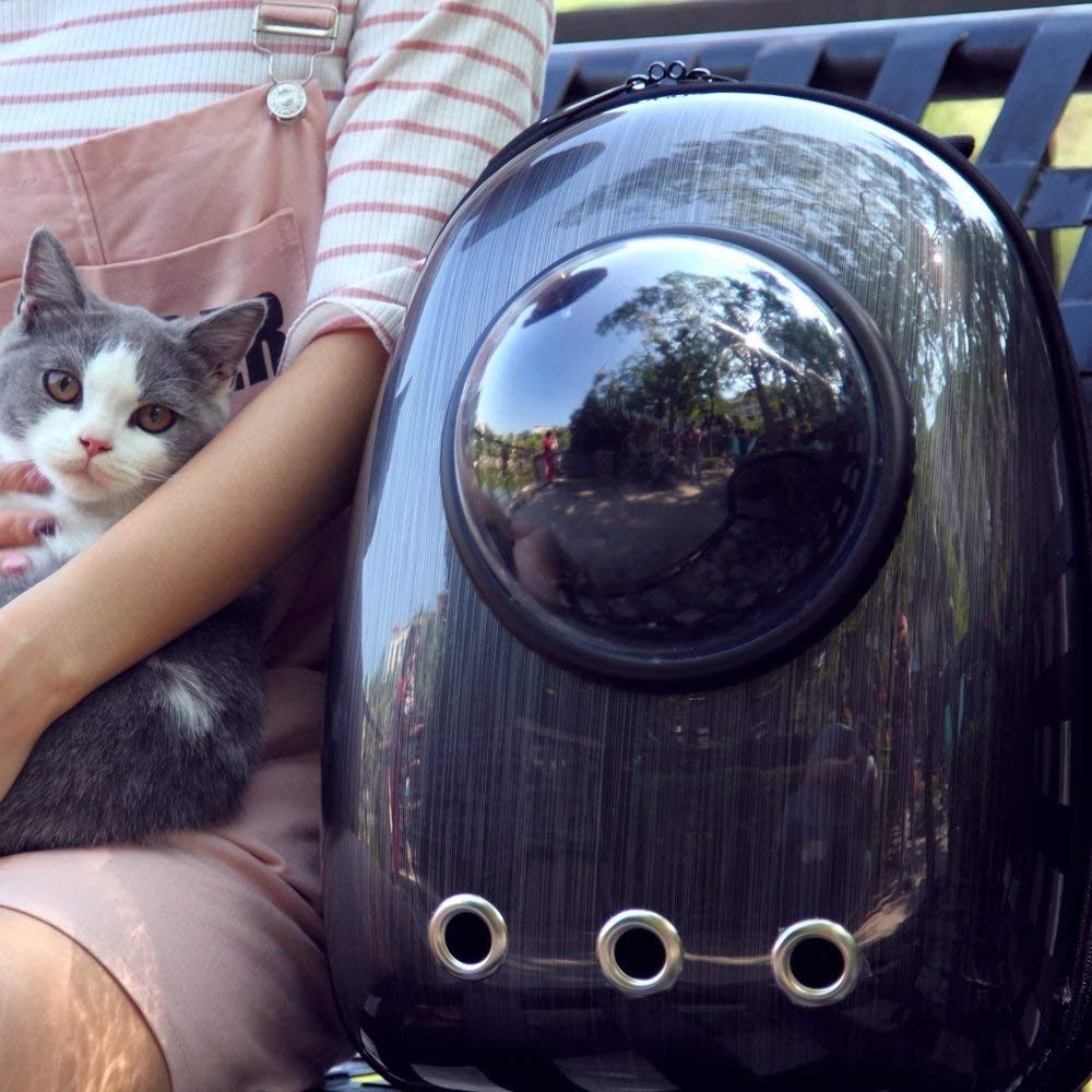 Katze Rucksack-Träger Tasche, Hundrucksack, Haustier Bubble Rucksack für kleine Katzen Welpen Hunde Hase, Airline-genehmigtes Lüfter transparentes Kapsel Rucksack