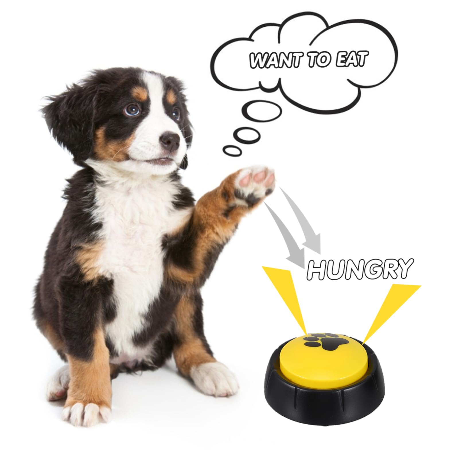 Sosoport Bottone di Comunicazione per Animali, Registrazione 4 Pezzi ABS