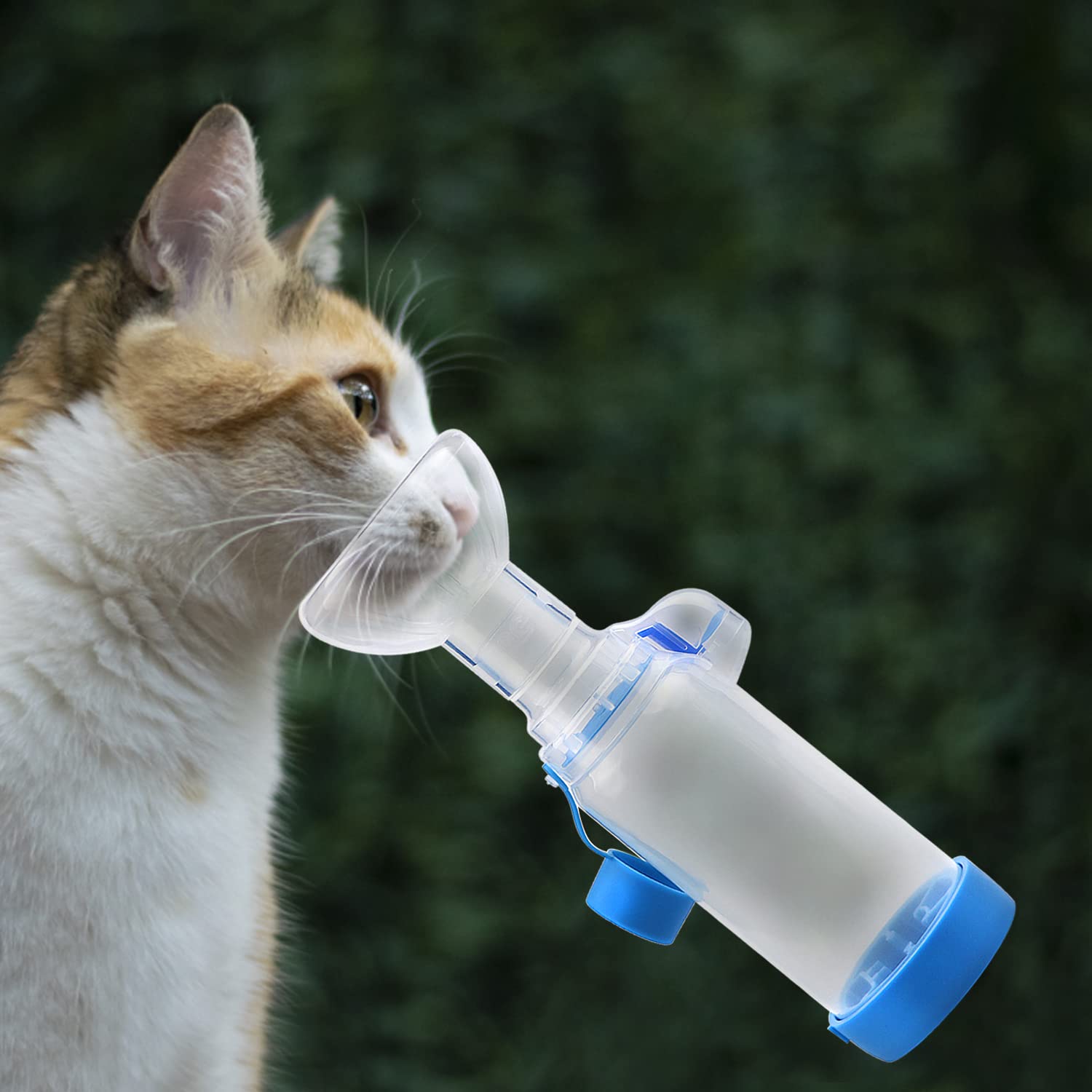 Kammer für Haustiere Inhalator Abstandshalter für Katzen- oder Hunde-Handabstandshalter mit exklusiver Atemanzeige (Maske für Katzen)