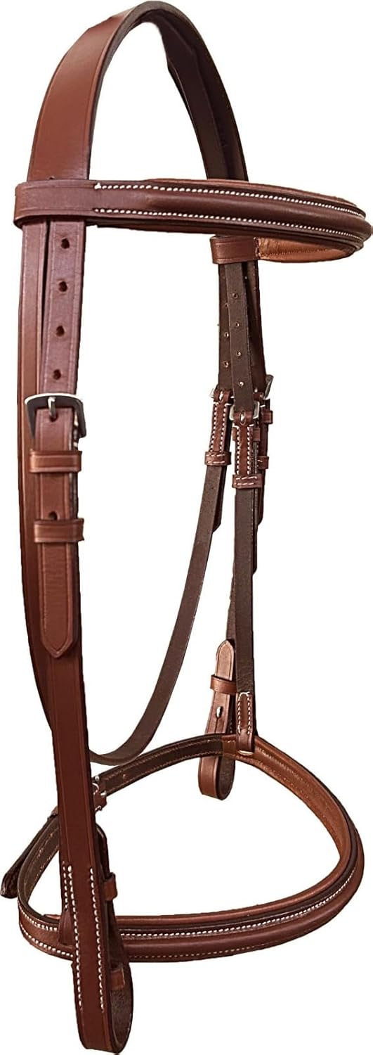 Majestic Ally Padded Raised English Bridle, Premium Leather, Matching Laced Reins
