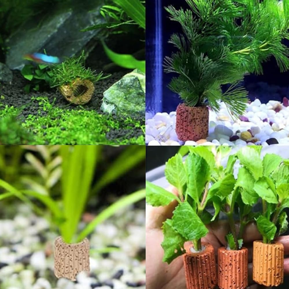［確認用］水生植物　苗 Amazon | JNALFG 水草固定リング 水族館植物アクアリウム内装 石