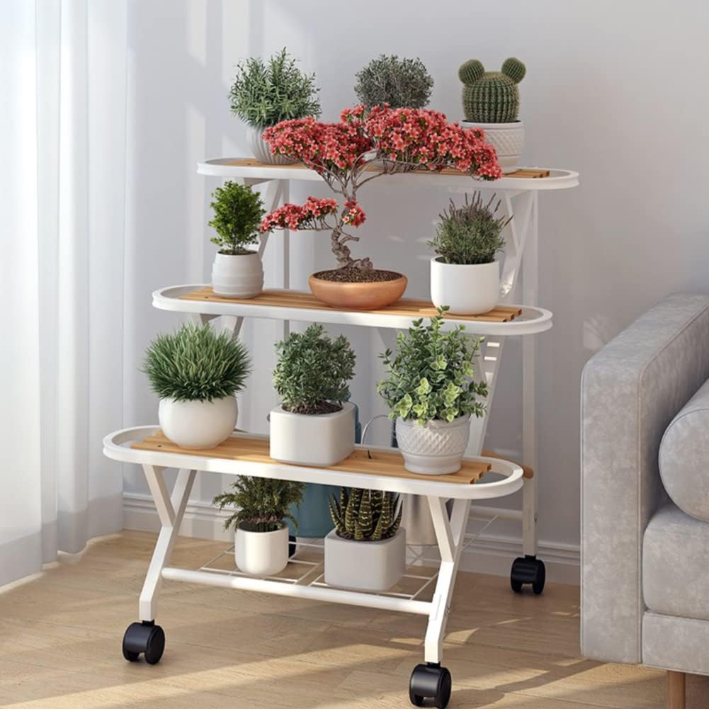 Co tu kvete? 植物識別ガイド　図鑑 Co tu kvete? 植物識別ガイド 図鑑 植物図鑑 Co tu kvete? 植物
