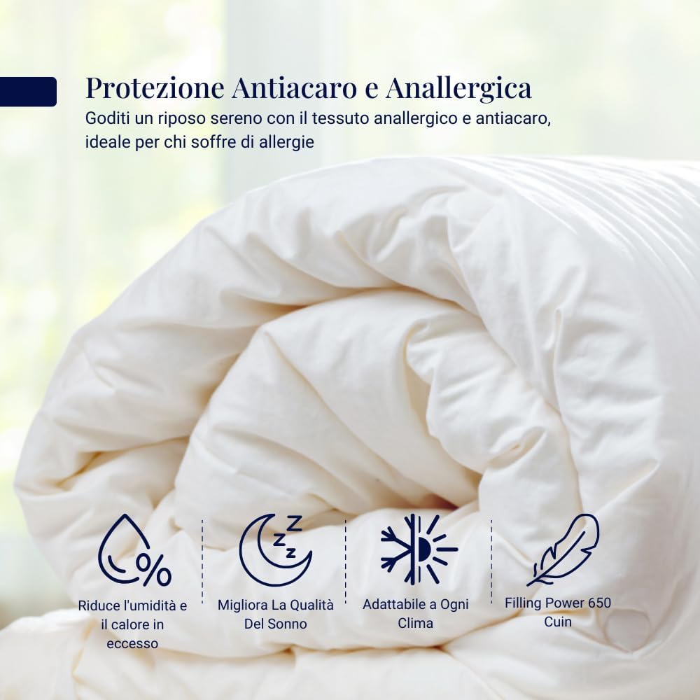 SofficePiuma - Daunex Piumino Letto 5 Punti Calore, Art ROMEO, Piumone Singolo, 340gr/mq (250x200 Matrimoniale standard)