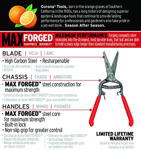 Amazon.com: Corona FS 4310 Bonsai & Orchids Mini Shear with Vinyl