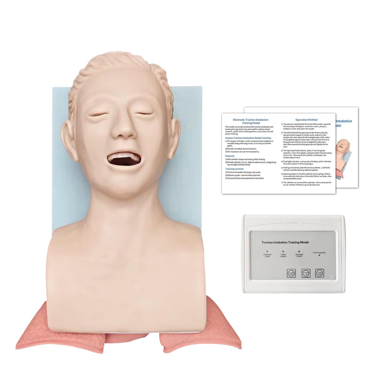 AMITD Modello di intubazione endotracheale in PVC, per allenamento orale/nasale, per educazione e pratica