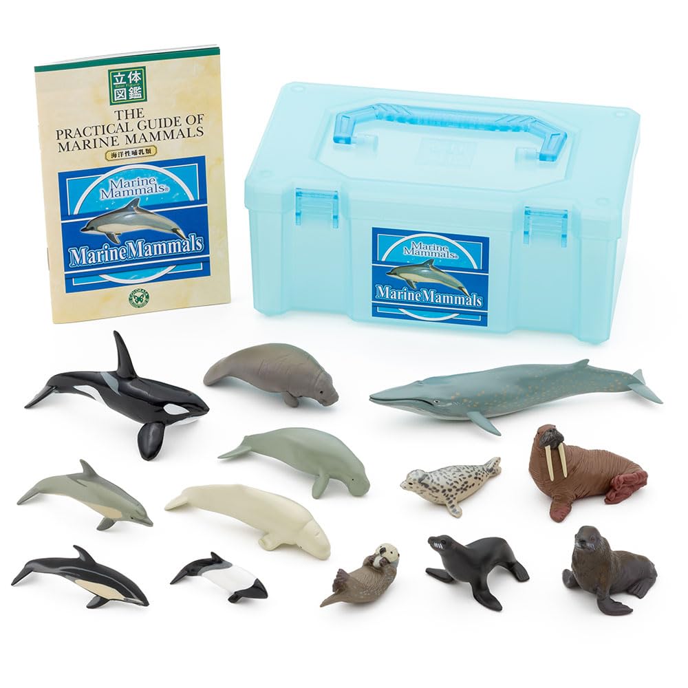 天然石 動物彫刻 イルカ 、象、豚、ラピスラズリ 卵型 置物5点セット Amazon.co.jp: カロラータ 海の生き物 立体図鑑 (クジラ イルカ ラッコ