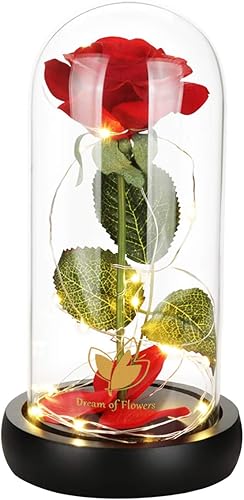 Rosa de la Bella y la Bestia, regalos de rosas para mujeres, regalos para ella, regalos de cumpleaños para mujeres, rosa eterna artificial iluminada