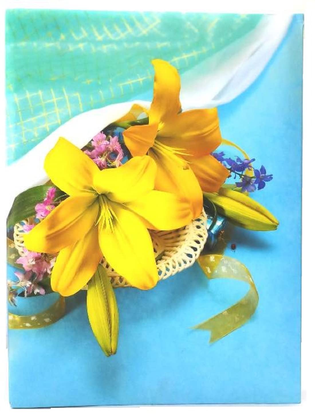 Natraj Photo Album - 200 Photos, 4x6 -10
