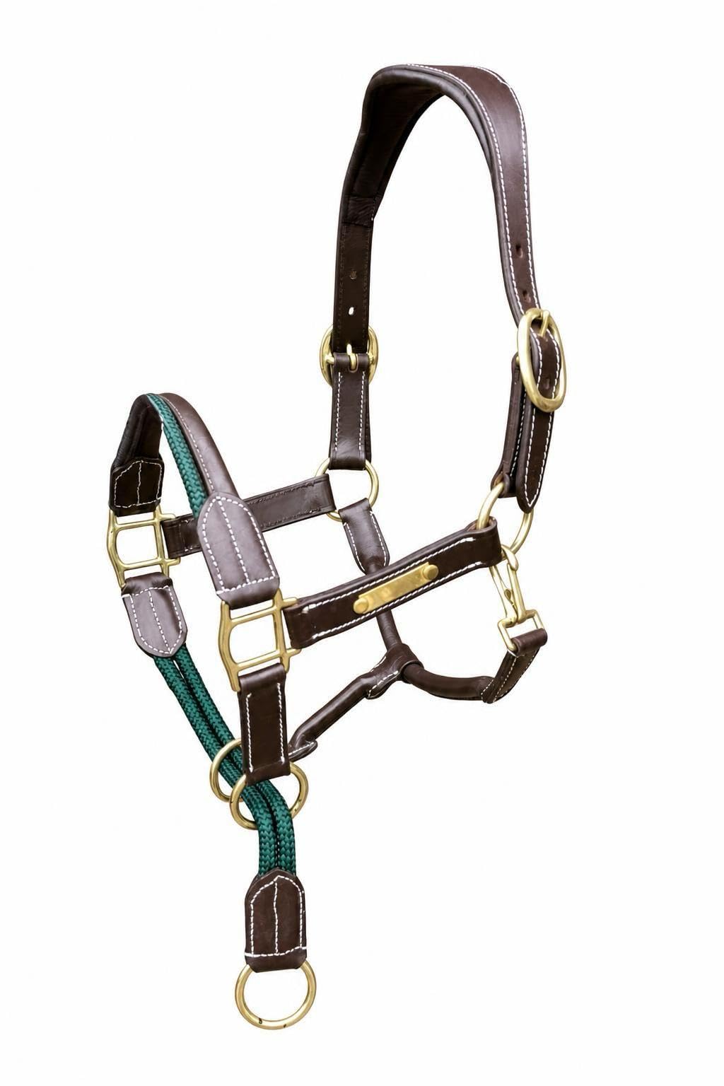 Horse Leather Control Headcollar with Brass Fittings Anatomical Headpiece Hunter Green/Brown, Hunter Green/Brown, Pony