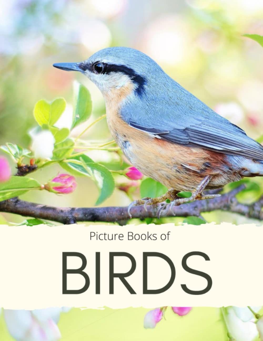 Picture Book of Birds: for Alzheimer’s and Seniors with Dementia- Colorful Photos with Large Print for Elderly People or to Help them Feel Calm (Nostalgia Coffee Table Books)