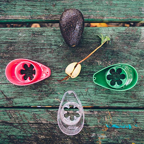 Avoseedo Avocado Tree Growing Kit, Clear, Practical Gifts For Women, Mom, Sister & Best Friend, Plant Indoors With Novelty Pit Grower Boat & Kitchen Garden Seed Starter #TOP5