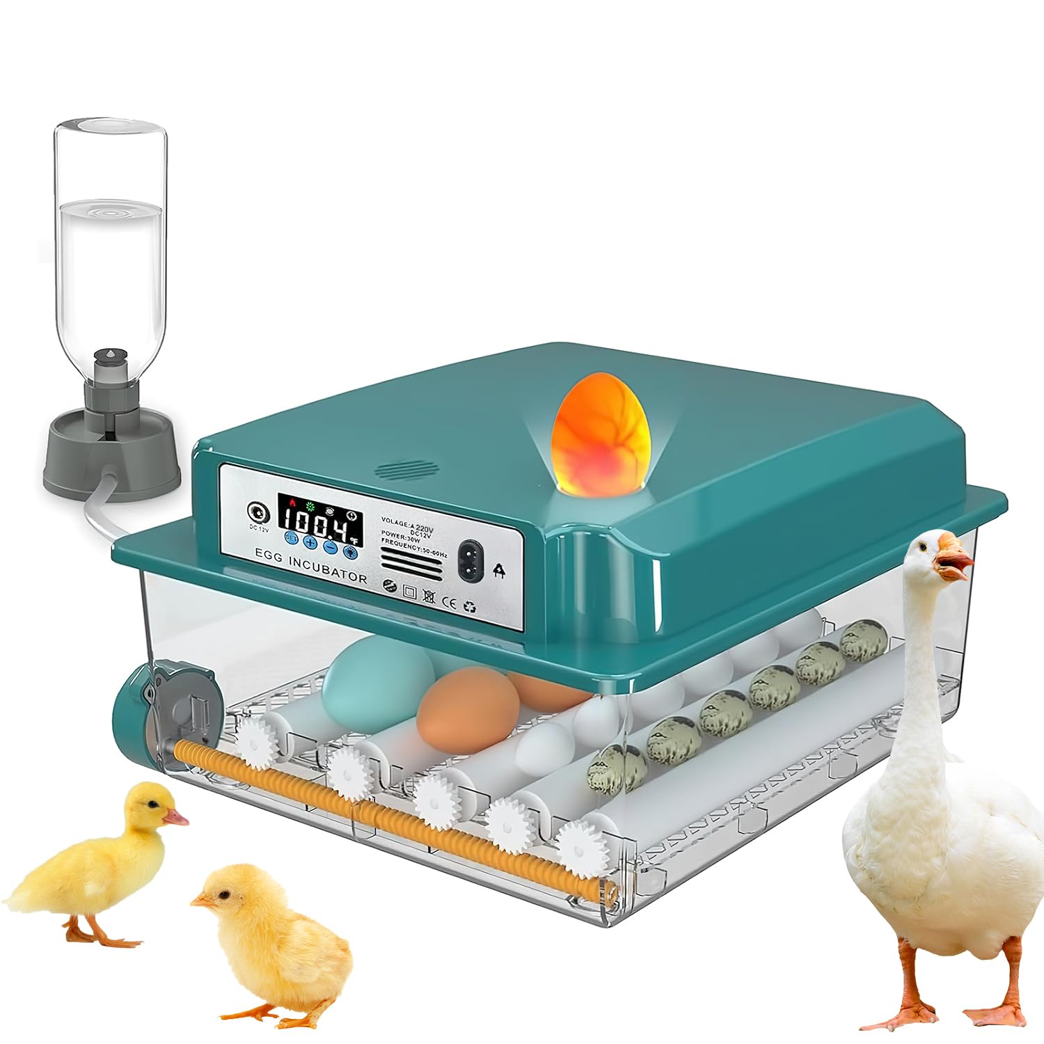 Incubadora de huevos automática, incubadora automática de huevos 12-16 huevos con volteo automático de huevos y humidificación automática, incubadora para huevos de gallina, codorniz, pato