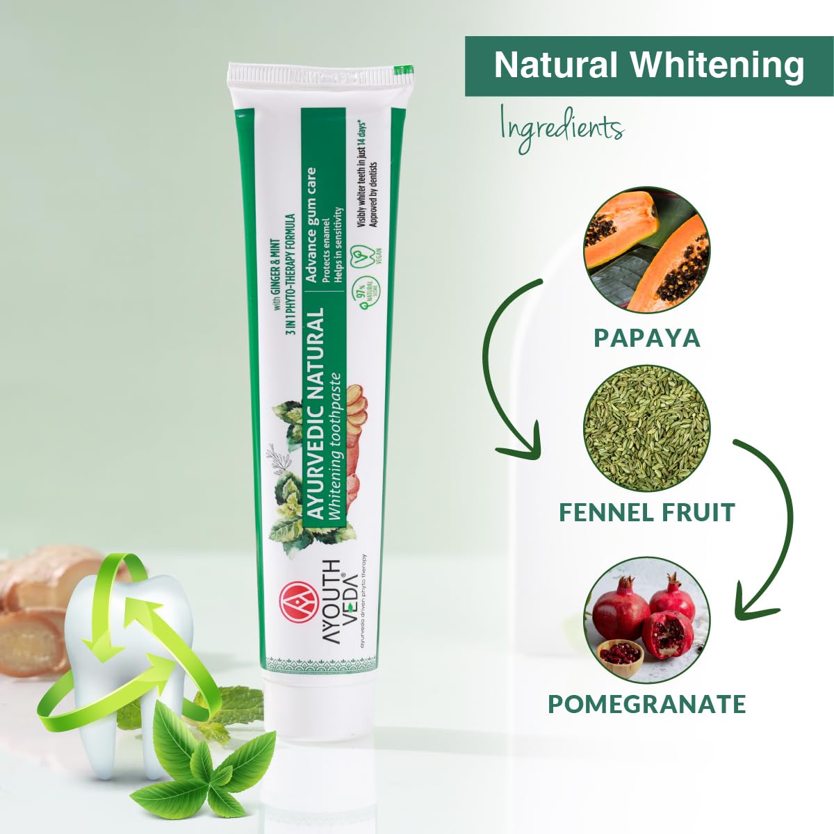 Ayouthveda Pasta dentífrica blanqueadora – Natural, Cuidado de las encías y eliminación de manchas, vegana, paquete de 3 (3 x 100 g)