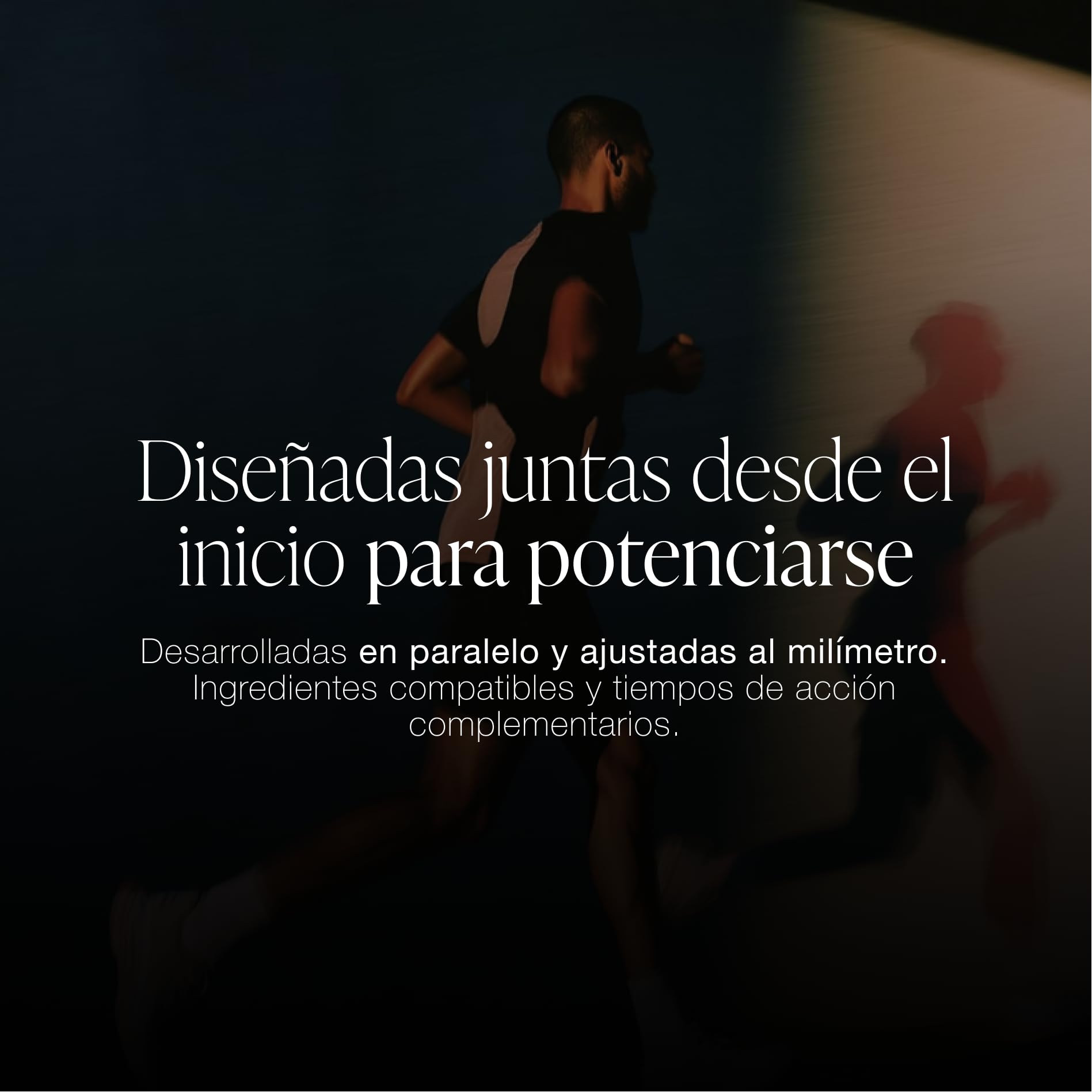 MODO ZZEN - Pack de 3 | Nootrópico para la Memoria, Energía y Concentración (FOCUS) + Ashwagandha KSM-66 para el Estrés (CALM) + Magnesio Bisglicinato y L-Triptófano para el Sueño Profundo (SLEEP)