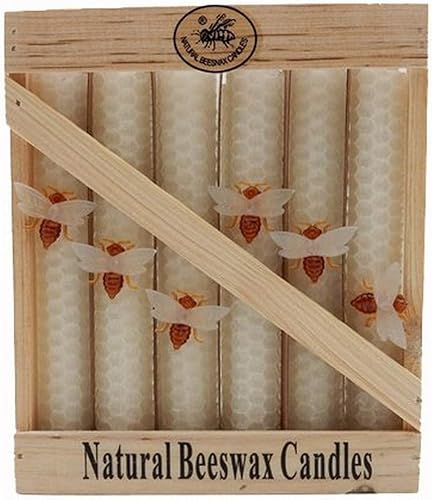 Green Pastures Wholesale Vela cónica blanca de cera de abejas, 6 pulgadas (BWT6-W)