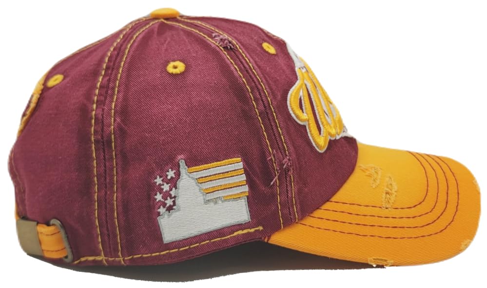 Gorra Strapback Washington New Premium Leader Vintage miniatura 5