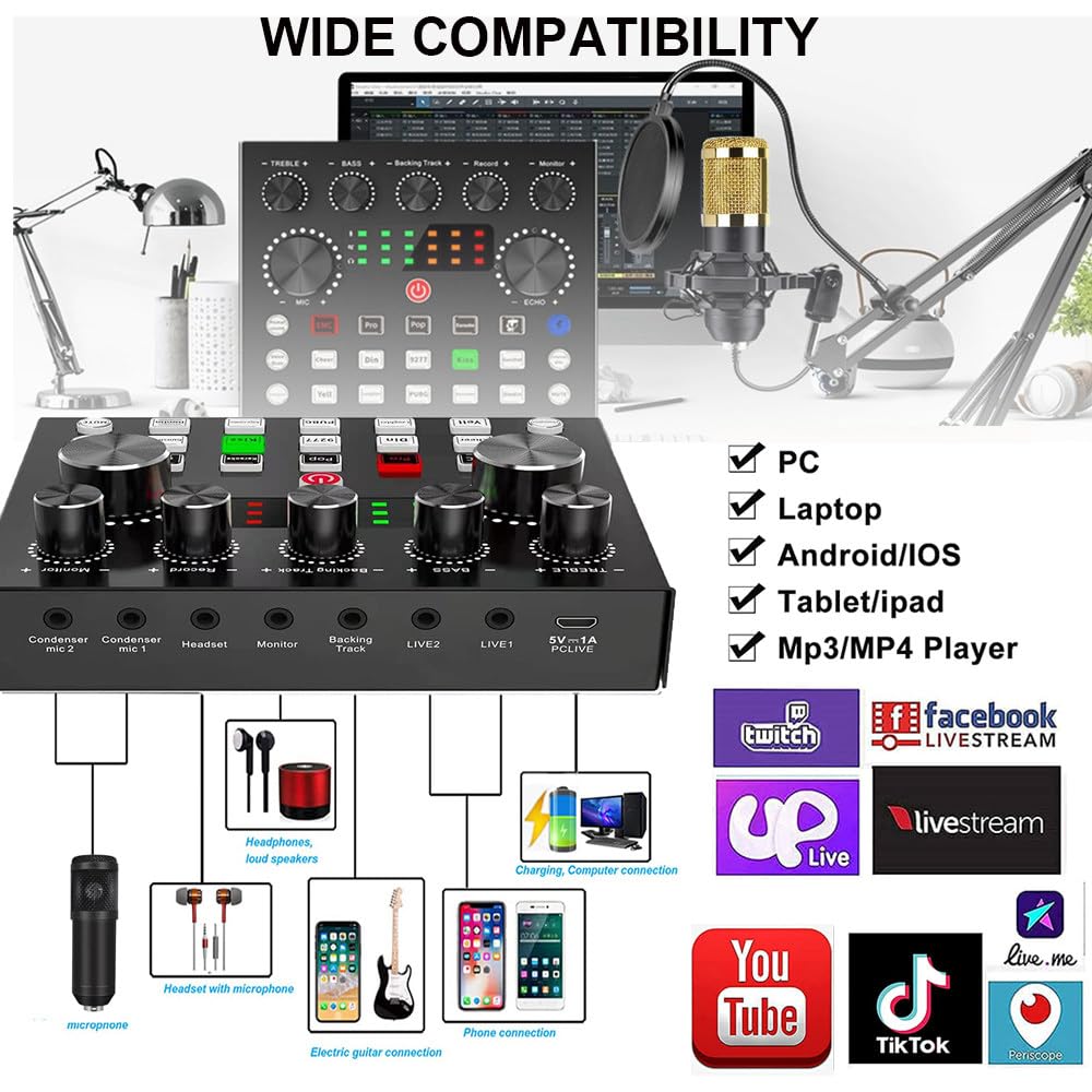 Kit Di Attrezzatura per Podcast per 2 Persone,2 Microfoni per Podcast + Cambiavoce + 2 Convertitori,Braccio a Forbice Regolabile per Microfono,Ideale per Microfono Da Gioco,Canto,Streaming Live Black