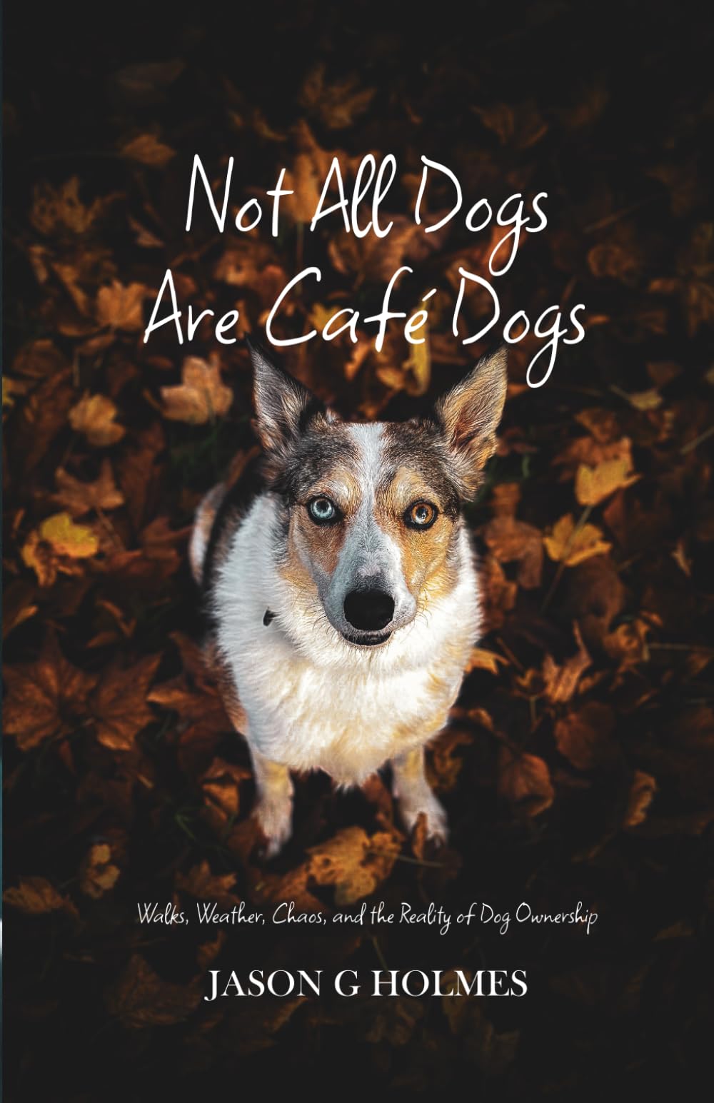 Not All Dogs Are Café Dogs