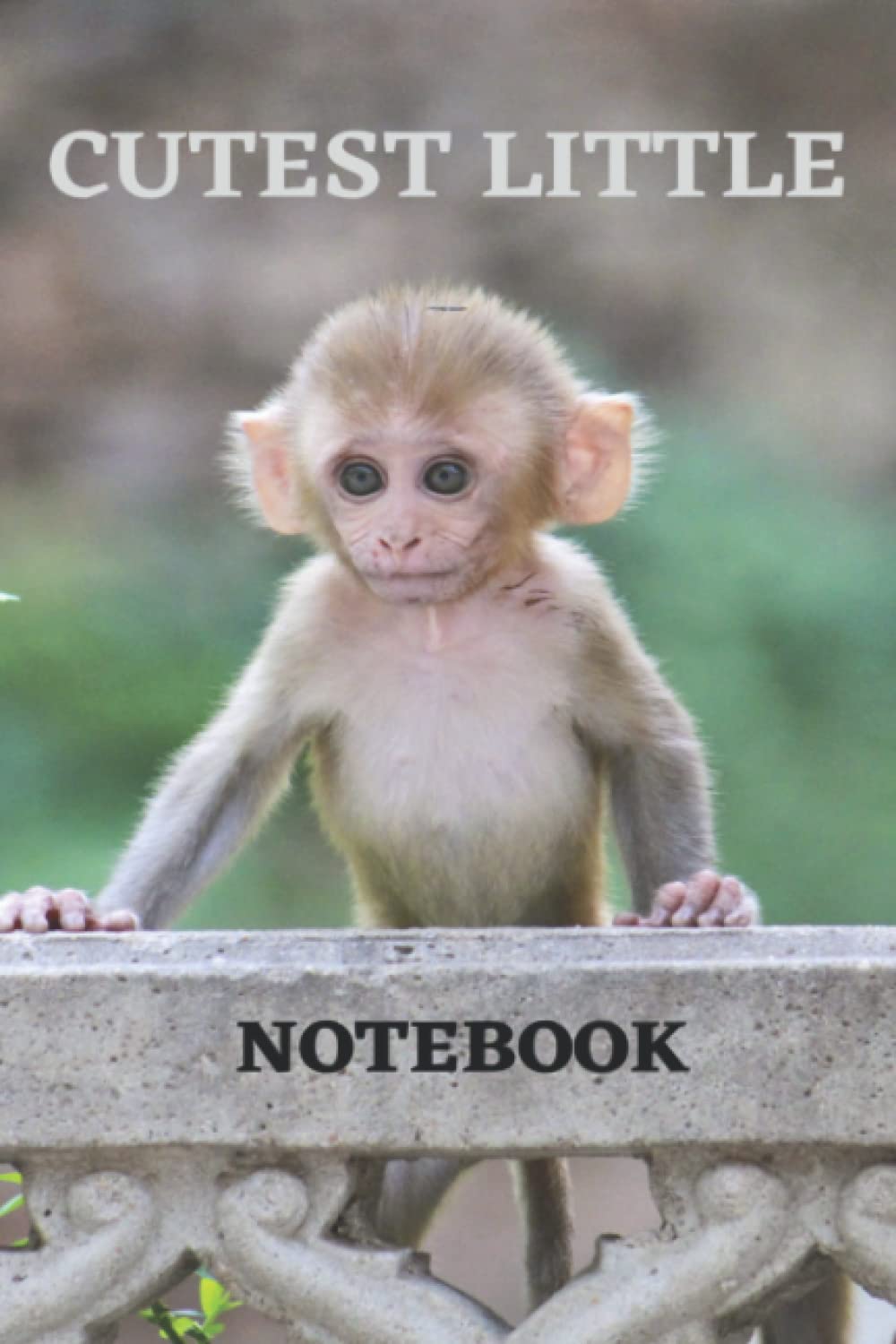 Cutest Little Notebook Little Notebook Baby Monkey Nature Inspired Kellogg Natasha M Amazon Com Books