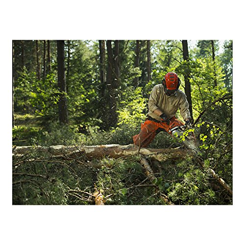 Foto von Husqvarna Kettensägen 562 x T 45 cm