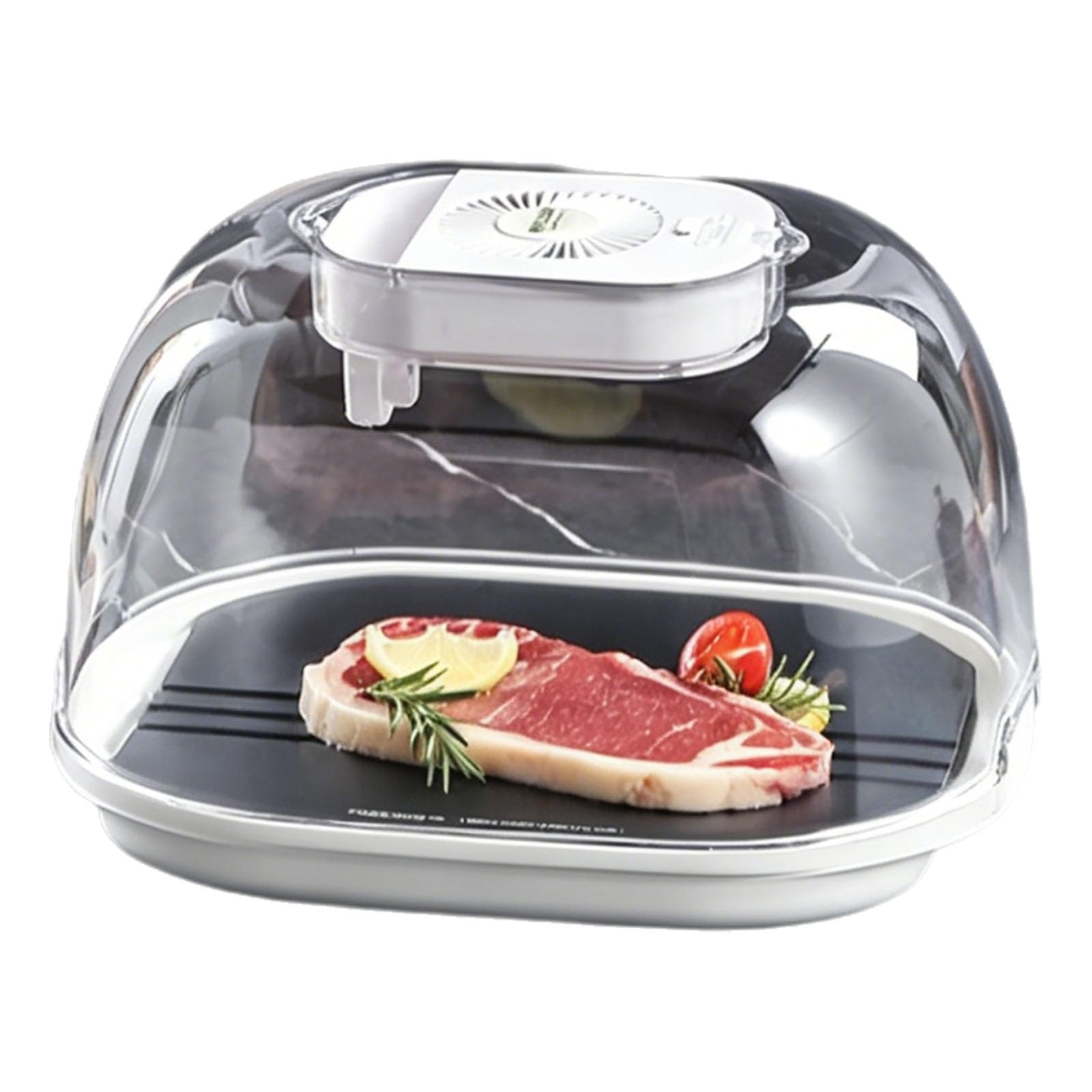 FXNFXLA Frozen Meat Thawing Machine, Electric Food Defrosting Box, Rechargeable Quick Defroster Tray, Plasma Locking, for Frozen Steak, Chicken, Fish, Shrimp