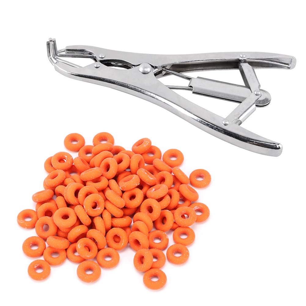 Buy xianshi Strong Castration Bands, Toughness Elastic Sturdy