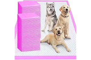 FPN Pee Pads for Dogs, 200 Count