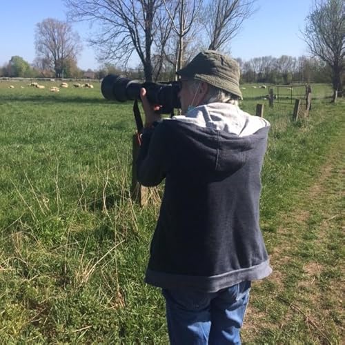 Die Faszination eines Storchenfl&uuml;sterers