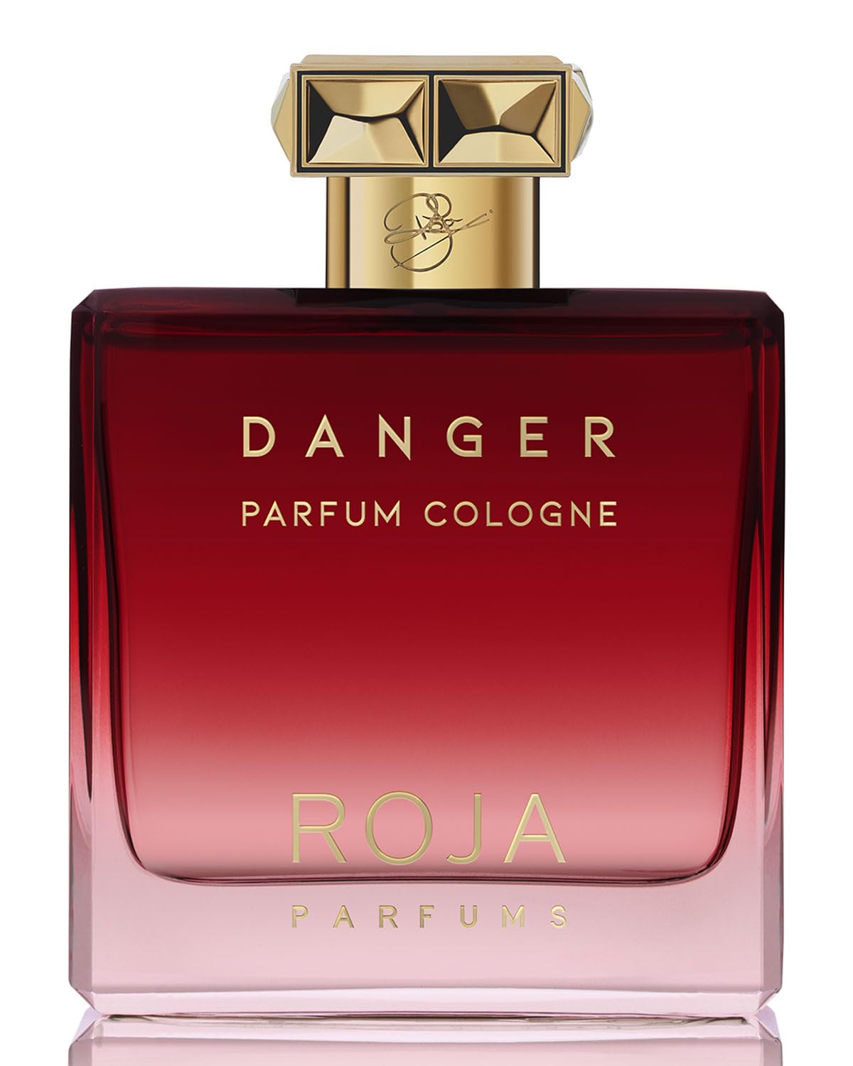 roja perfume Danger Pour Homme Perfume Cologne 100Ml