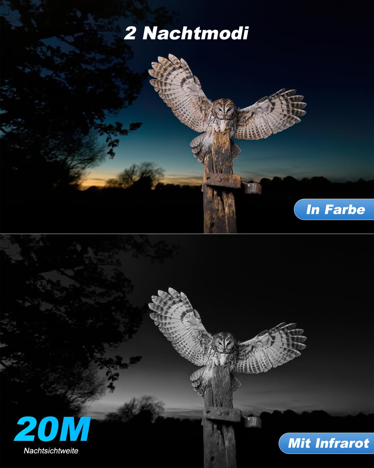 Xega 4G LTE Wildkamera Solar Akku mit SIM Karte,Überwachungskamera mit Live App Farb-Nachtsicht, 2K HD Kabellos Außen PTZ Kamera Outdoor,355°/90° Schwenkbar Erkennung 2-Wege-Audio (Ohne WLAN)