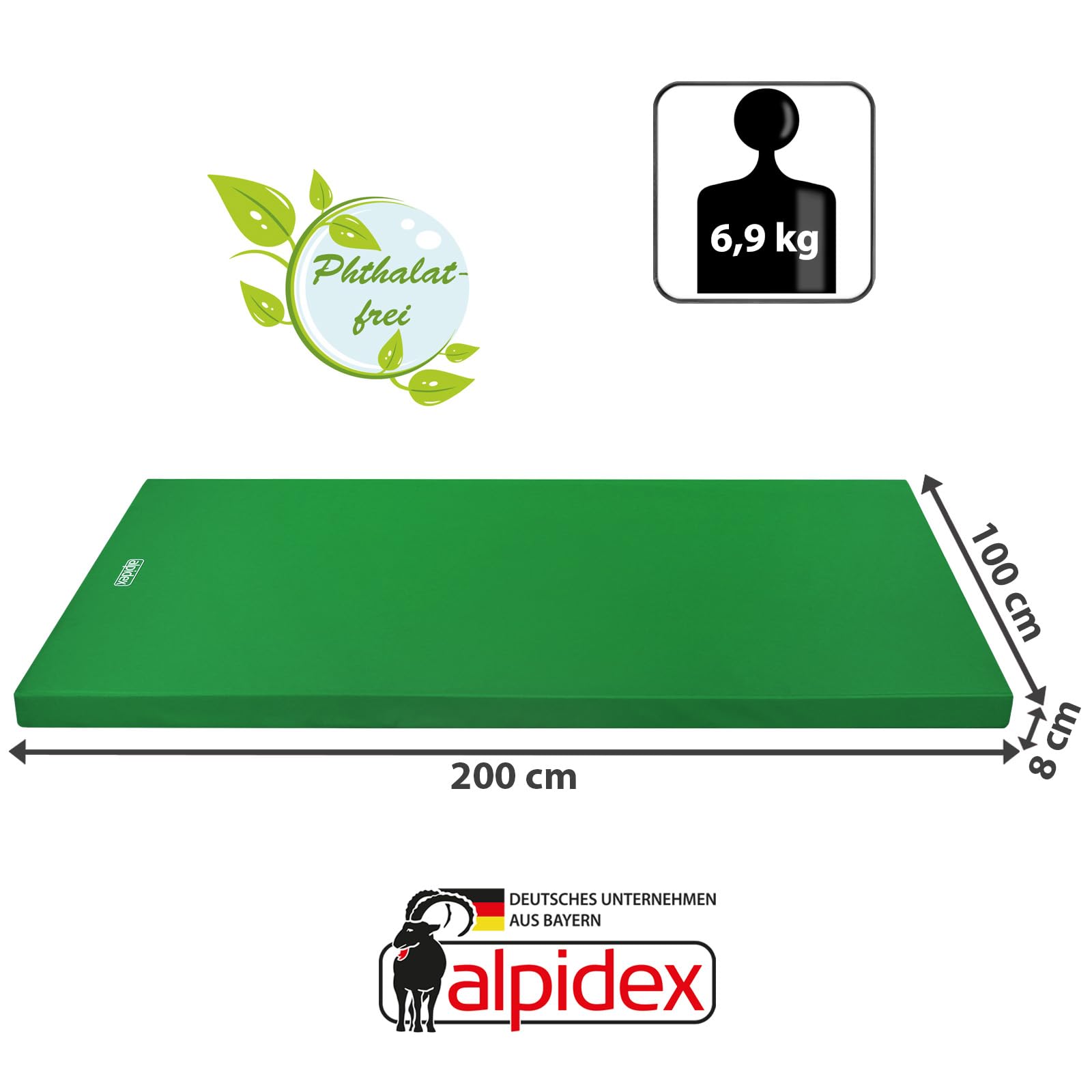 ALPIDEX Matte Turnmatte Sportmatte Gymnastikmatte 200 x 100 x 8 cm mit Antirutschboden RG 20 (sehr weich)
