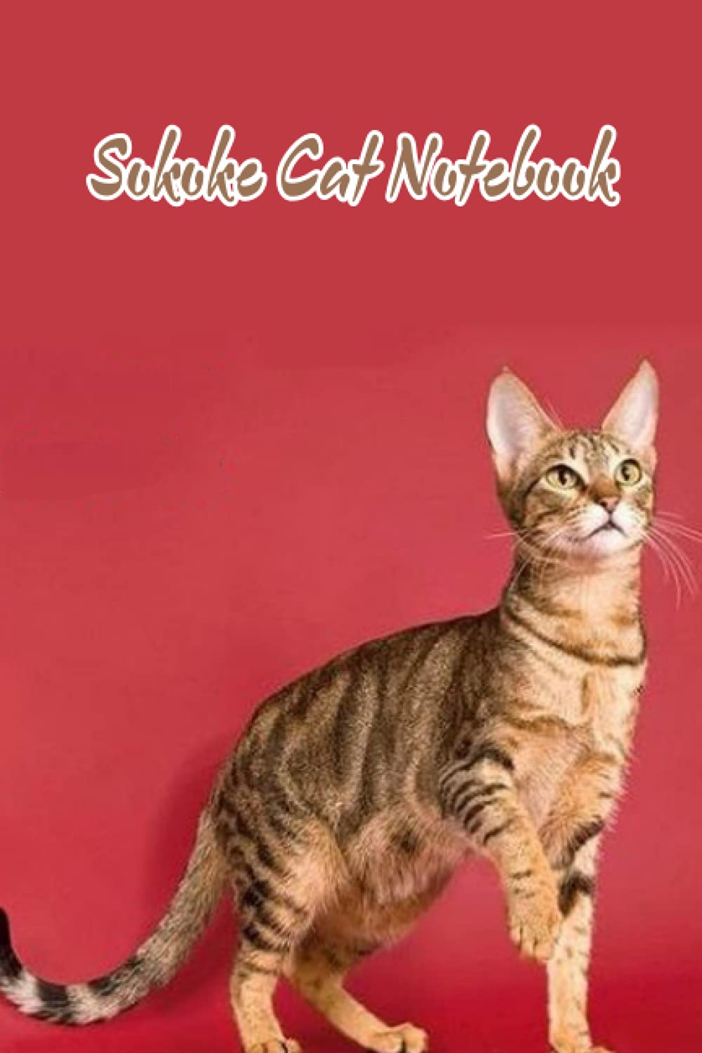 Sokoke Cat Notebook: Notebook|Journal| Diary/ Lined - Size 6x9 Inches 100 Pages