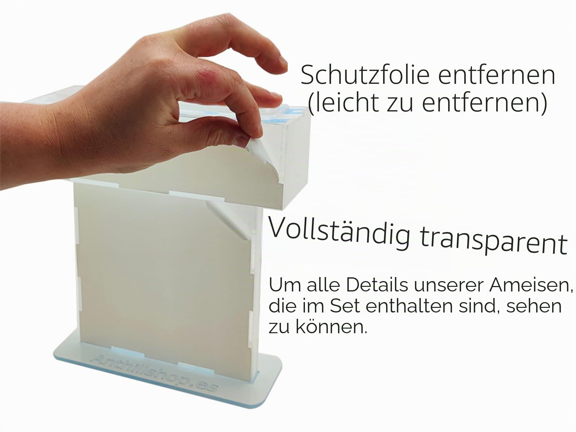 Kleiner Ameisenhaufen aus Natursand (Acryl) – mit Ameisen ┃ von 20 – 30 Ameisen.
