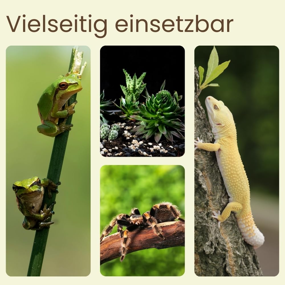 Terrarium 30x30x30 cm Schnecken Spinnen Amphibien Glas Terrarium Mit Belüftung Pflanzen Reptilienbecken Mit Falltür Glasterrarium 30 Klein