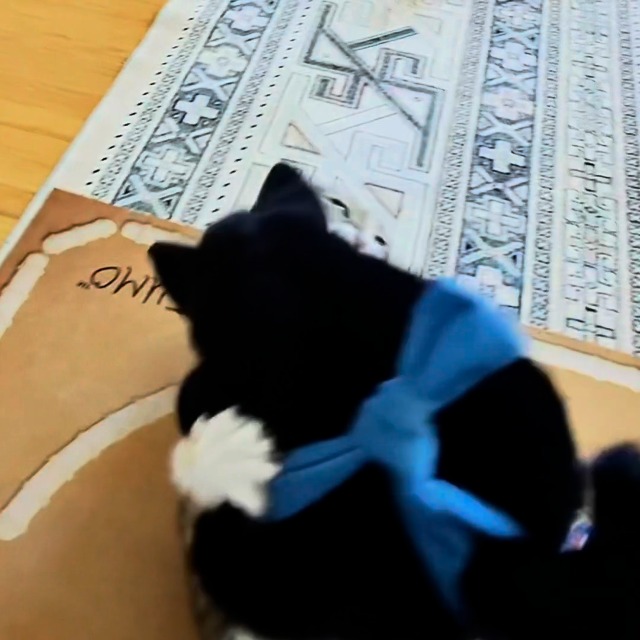 Amazon.com: CATSUMO Wearable Cat Toy Wrestling Glove Puppet