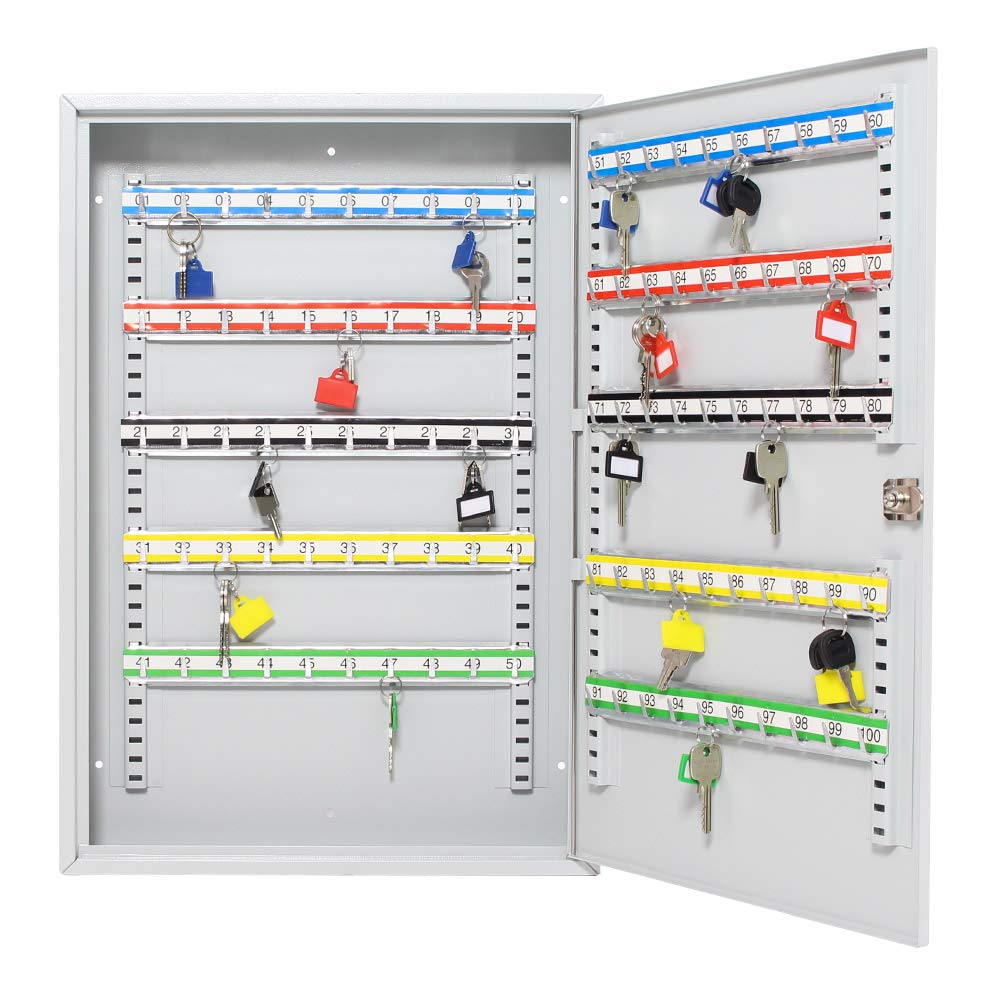 Rottner 1508 S100 Armoire à clés avec Crochets réglables pour 100 clés Gris Clair