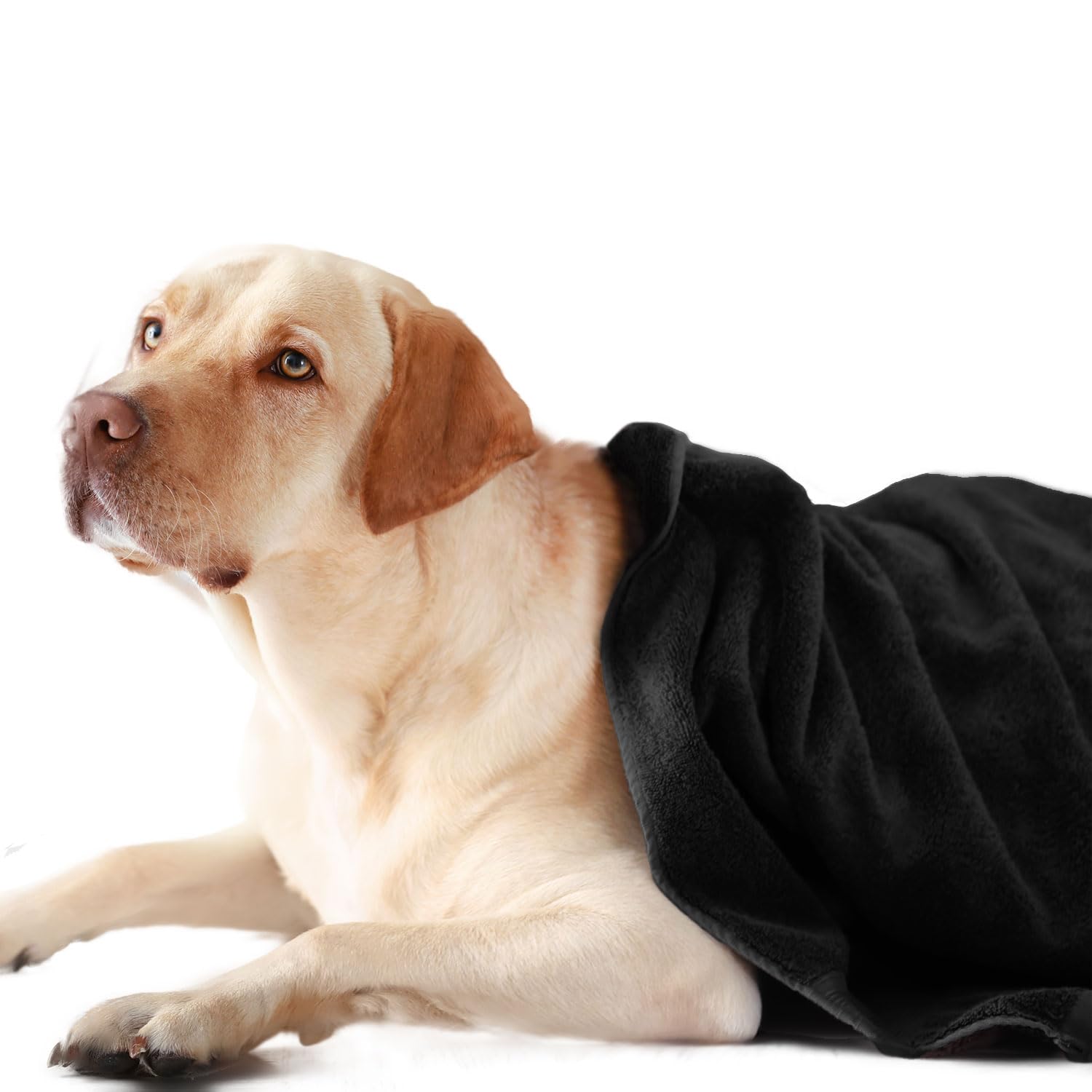 Sassoon Large Pet Towels | Ultra Soft & Microfiber | Quick Drying | Machine Washable | Color - Black (Pack of 1) (B0D92FPPNQ) Amazon Price History, Amazon Price Tracker