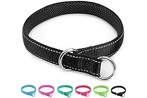 Nylon Choke Training Collar for Dogs - Reflective, Durable, and Adjustable