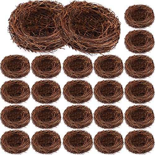 Gerrii Artificial Bird Nest Crafts Easter Birdhouse Nest Mini Natural Rattan Nests for Easter Party Wedding Patio Garden Succulent Planter Moss Landscape DIY Terrarium (4 in)