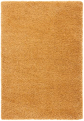 SAFAVIEH Hudson Shag Collection Area Rug - 6' x...