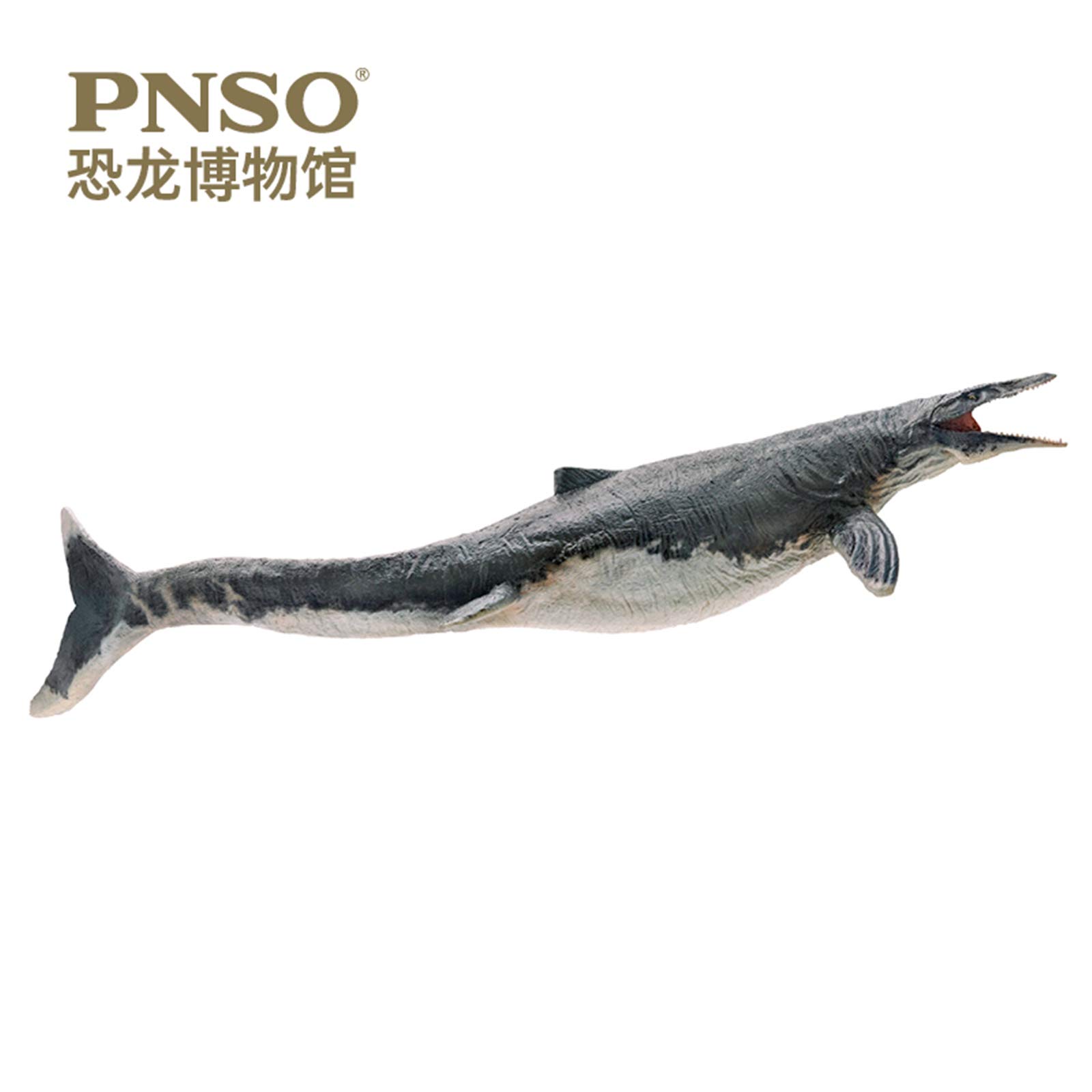 Amazon | PNSO 恐竜博物館 1/35 モササウルス Mosasaurus 恐竜 39cm級